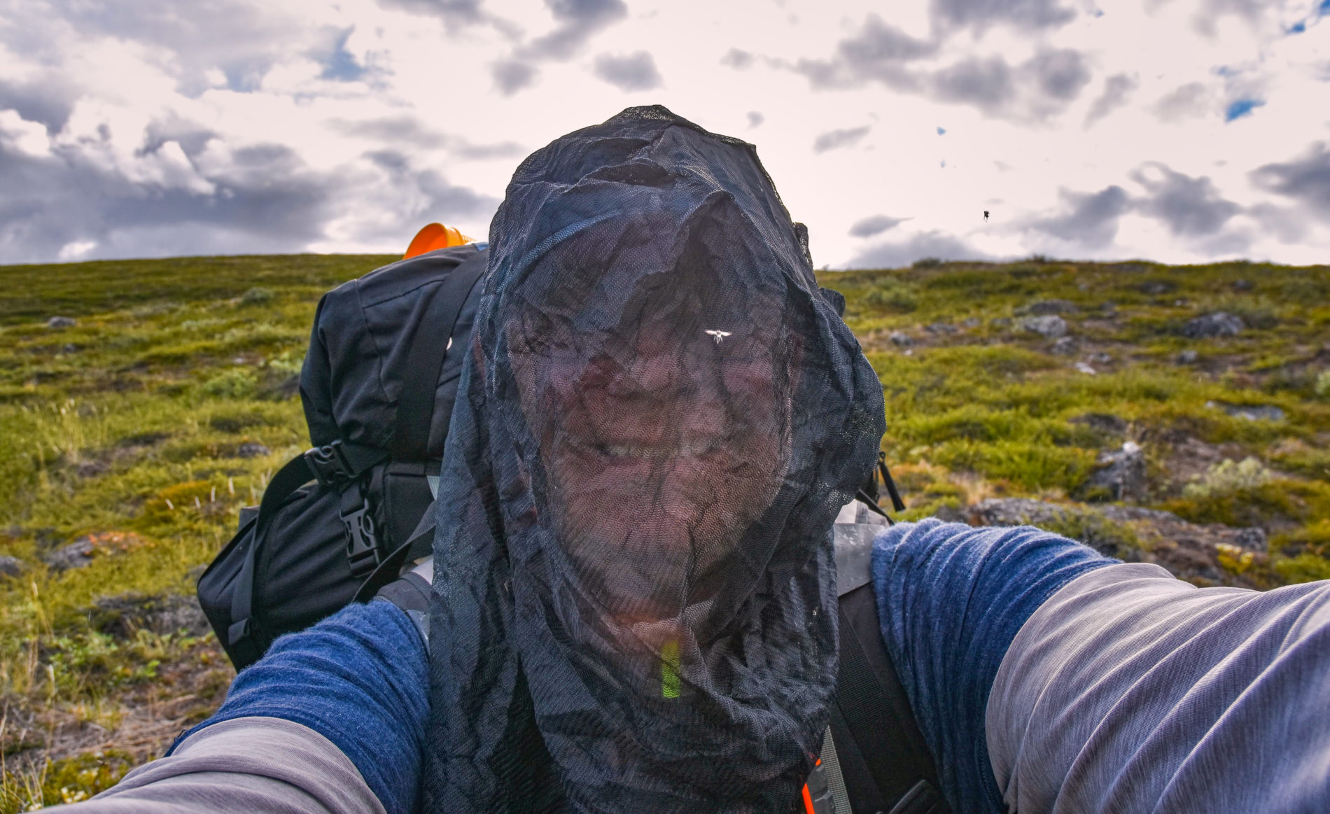Hiker wearing a headnet while hiking the Arctic Circle Trail during summer. This should definitely go on your gear packing list
