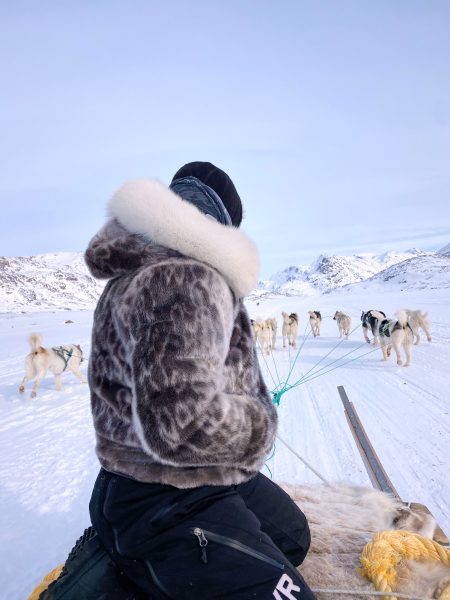 Person dressed in a sealskin jacket on a dogsled across the Arctic Circle Trail